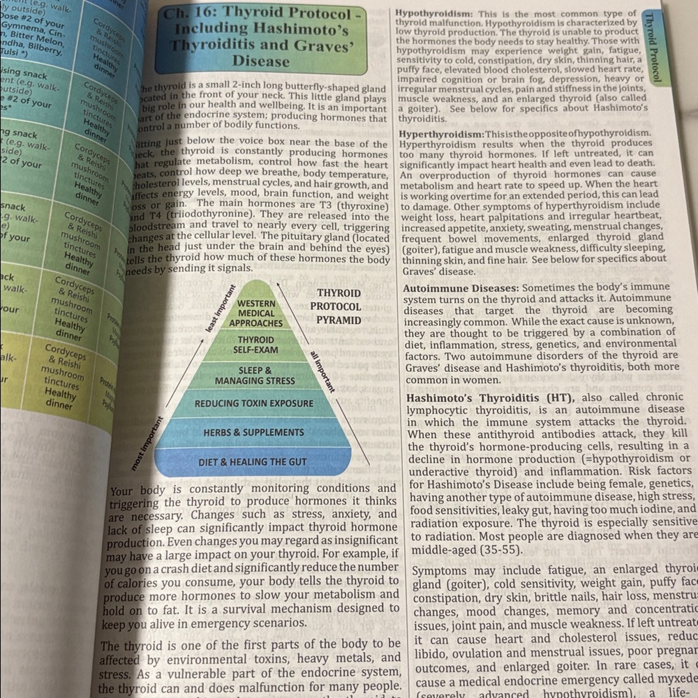 The Holistic Guide to Wellness Book - Picture 7 of 7